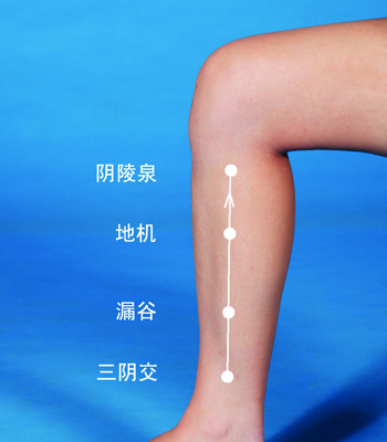 常揉陰陵泉等穴，讓你身體更強(qiáng)壯