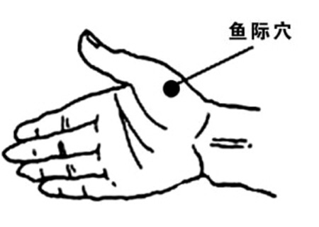 魚際穴→治發(fā)熱、咳嗽