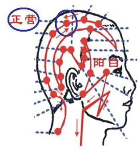 正營穴→治頭痛、頭暈