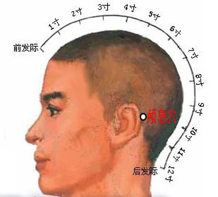 顱息穴→治頭痛、耳痛