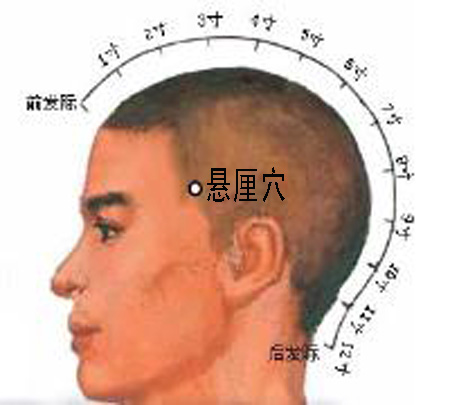 懸厘穴→治偏頭痛、面腫