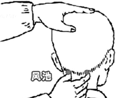 風(fēng)池穴→治頭痛、眩暈
