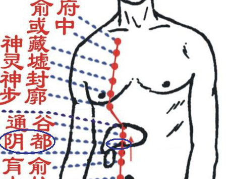 陰都穴→治腹脹、胃痛