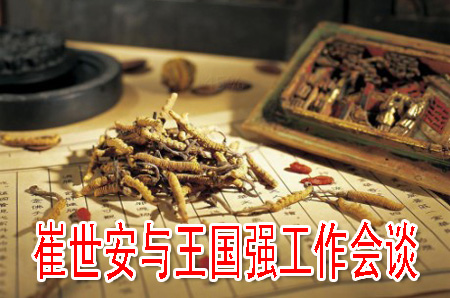 崔世安與王國強工作會談