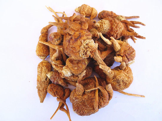 瑪咖價(jià)格遭抬每克15元 專家稱植物偉哥名不副實(shí)
