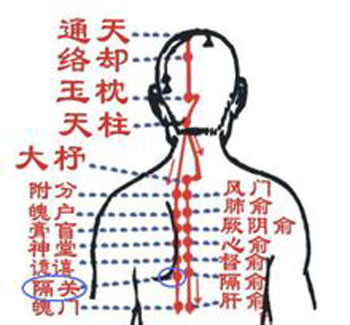膈關(guān)穴→治胸悶、噯氣