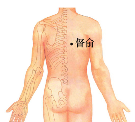 督俞穴→治心痛、胸悶