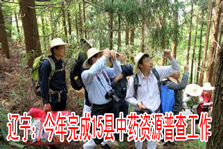 遼寧：今年完成15縣中藥資源普查工作