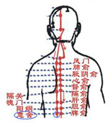 意舍穴→治腹脹、腸鳴