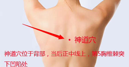 神道穴→治心痛、驚悸
