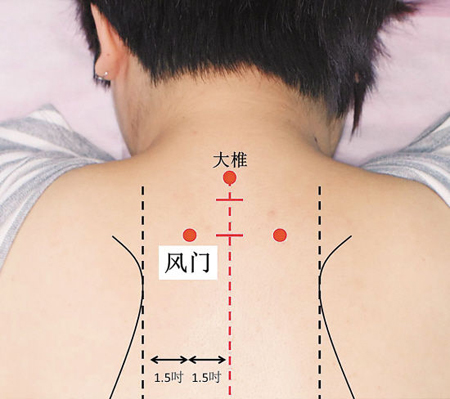 風(fēng)門穴→治傷風(fēng)、咳嗽