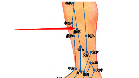 漏谷穴→治腹脹、腸鳴