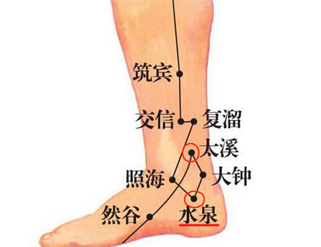 水泉穴→治小便不利、腹痛
