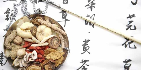做中藥資源的守護者