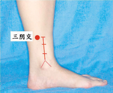 脾經(jīng)生輝，血海和三陰交是女人養(yǎng)生要穴