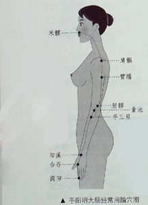 敲敲打打大腸經(jīng)、胃經(jīng)，女人的“不老秘方”