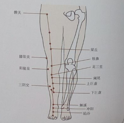 針灸治療便秘哪個穴位