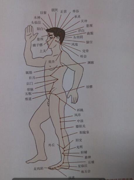 足少陽膽經(jīng)拔罐線路