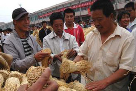 推動甘肅省中醫(yī)藥走出去 隴西縣打好藥材基礎(chǔ)