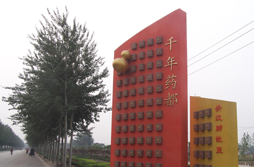 河北打造安國(guó)中藥都