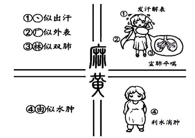 看漫畫學(xué)中藥，有趣味記得牢