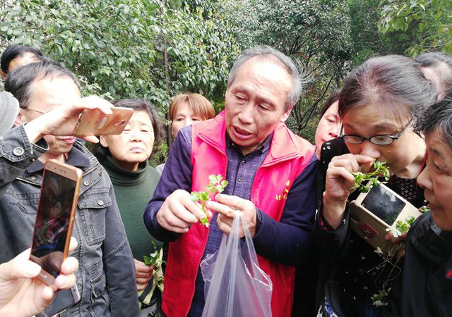 春游踏青尋百草，跟名中醫(yī)認(rèn)草藥