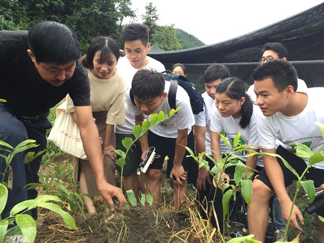 湖北中醫(yī)藥大學(xué)藥學(xué)院組織學(xué)生前往中藥材種植基地進行暑期社會實踐活動