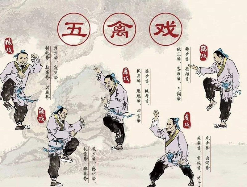 華佗，外科鼻祖，發(fā)明麻沸散、五禽戲