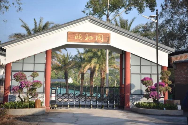 【國醫(yī)小鎮(zhèn) 特大喜訊】中醫(yī)藥健康特色民宿“頤棲園”正式開業(yè)！