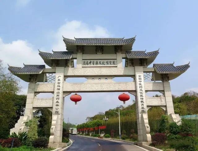 彰顯中醫(yī)藥優(yōu)勢特色，擦亮黨史學(xué)習(xí)教育底色