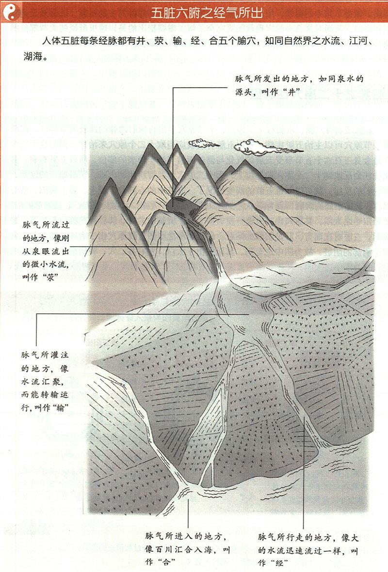 臟腑之經(jīng)氣所出分別在哪里？