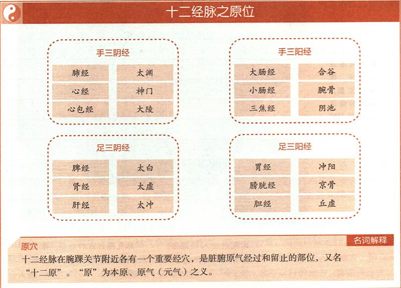 臟腑之十二原穴在哪里？