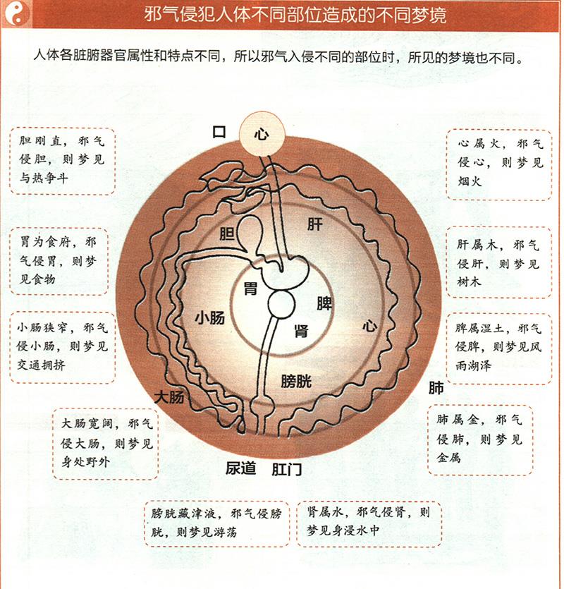 如何從夢境推算健康？