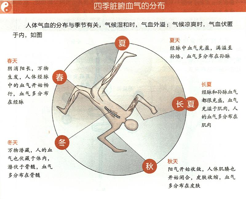 四季臟腑血氣是怎樣分布的？