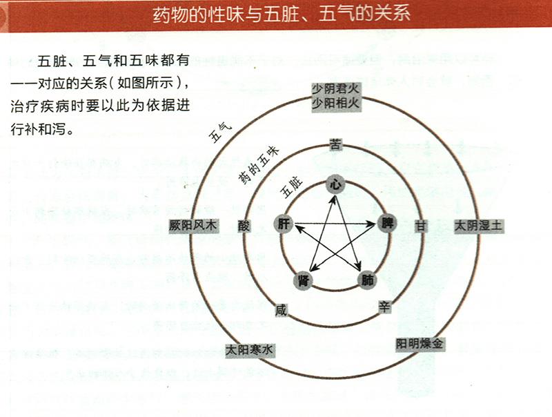 藥物的性味與五臟、五氣有什么關(guān)系？