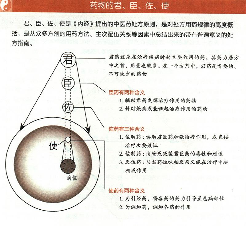 什么是藥物的君臣佐使？
