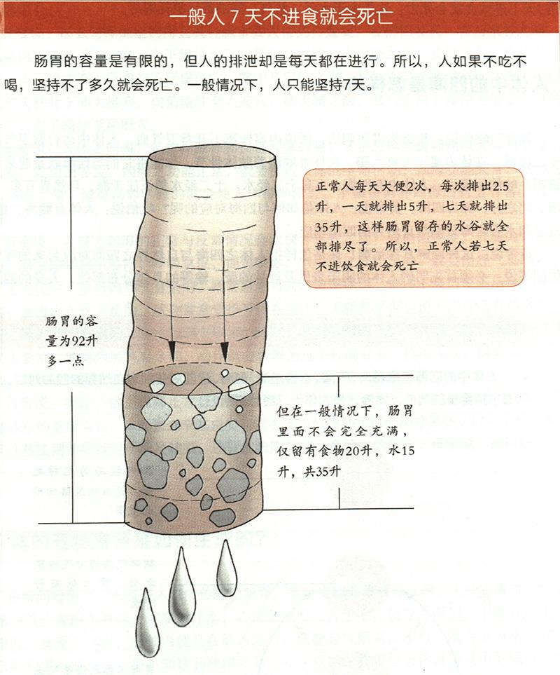 為什么7天不進(jìn)食就會(huì)死亡？
