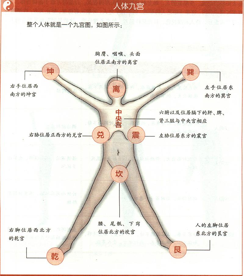 人體各部與九野是怎樣對(duì)應(yīng)的？