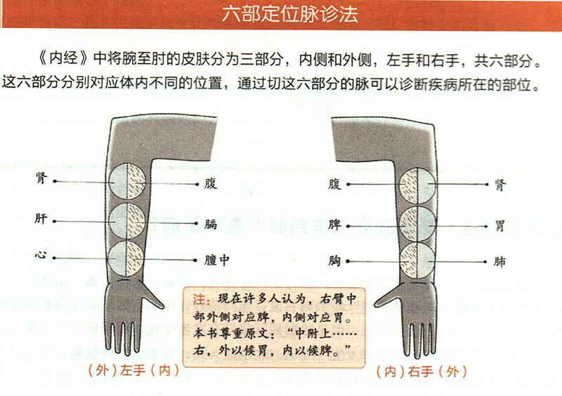 如何在尺膚上診斷疾??？