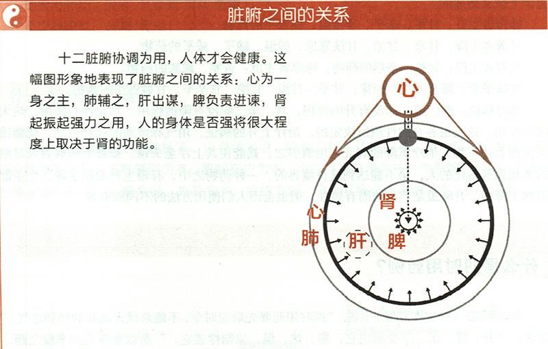 什么是五臟五味補(bǔ)瀉？