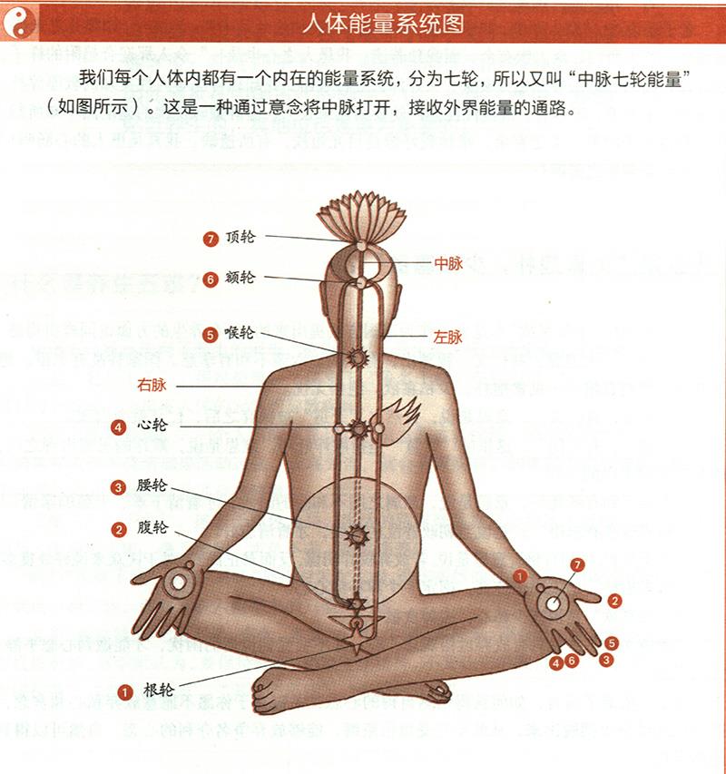 道家的“無(wú)為”為何能養(yǎng)生？