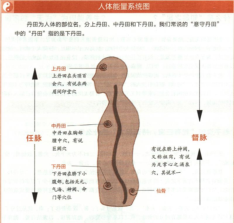 “吹呴呼吸，吐故納新”是怎樣的養(yǎng)生法？