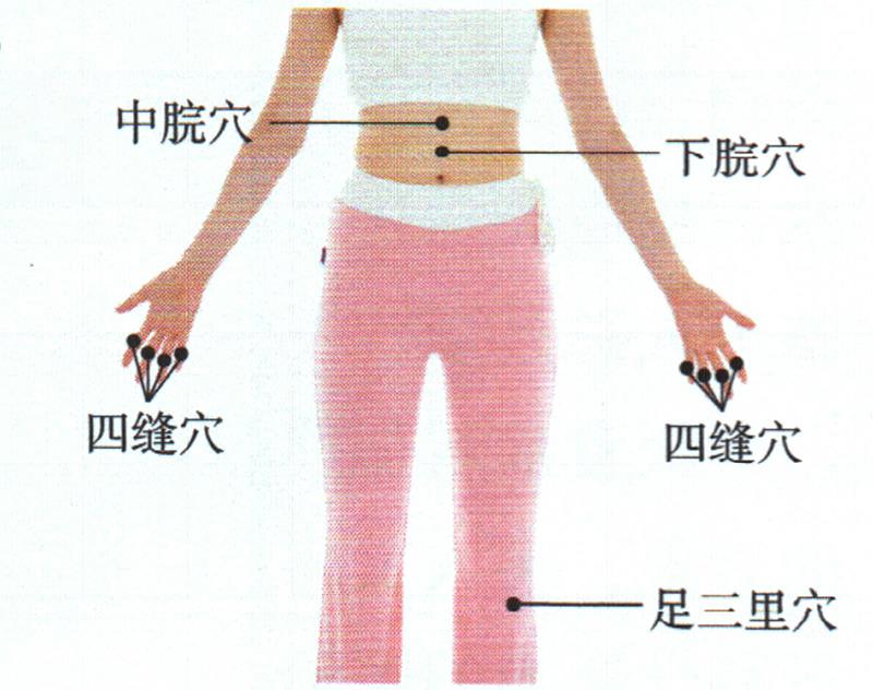 按摩足三里穴、四縫穴、中脘穴，促進(jìn)吸收增點(diǎn)肉