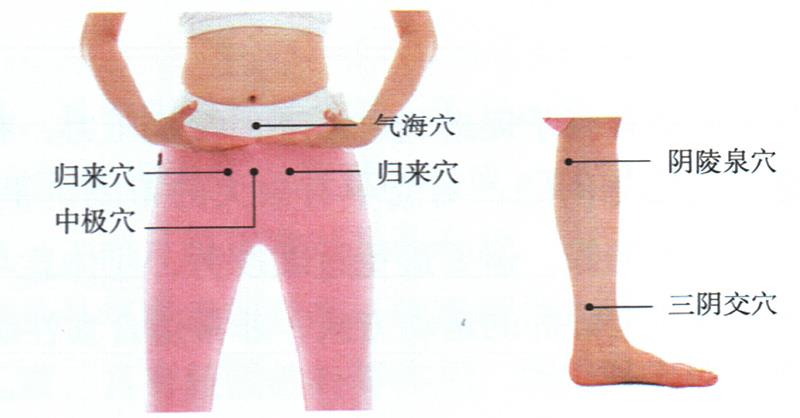 按摩歸來(lái)穴、中極穴等，健脾調(diào)經(jīng)更助孕